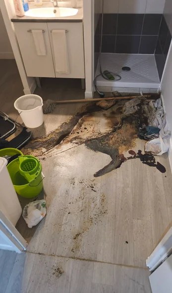 Salle de bain souillée avant intervention de nettoyage extrême